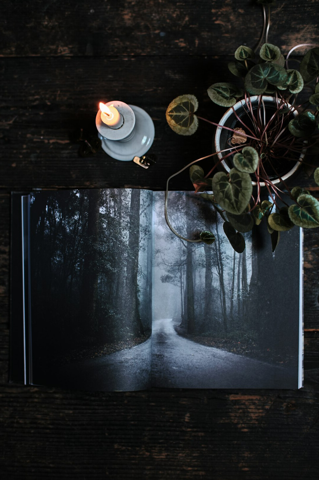 dark mystery book cover